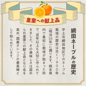 101-16 村田果樹園 減農薬で安心安全な完熟網田ネーブル 約3kg(8玉~12玉)