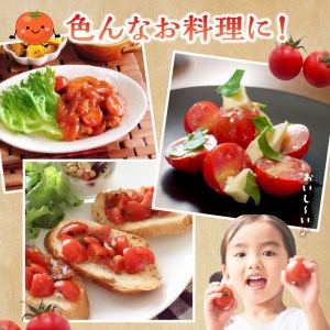 F137-1 熊本県産 ミニトマト 約1.5kg 「さくまのあまこい」