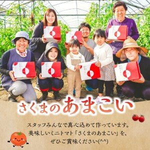F137-1 熊本県産 ミニトマト 約1.5kg 「さくまのあまこい」