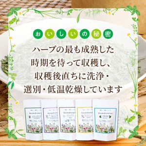42-15　熊本県産農薬不使用ハーブティー　５種セット 国産 ハーブティー セット リラックス 有機 フレッシュ 