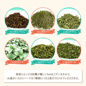 42-16　熊本ハーブ園レモングラス産 農薬不使用シングルハーブ小袋5袋セット 国産 ハーブティー セット リラックス 有機 フレッシュ ティータイム