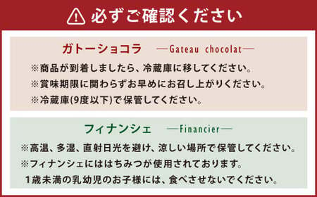 まるで生チョコ！？ 私のガトーショコラとフィにゃンシェ 詰め合わせ ガトーショコラ チョコ チョコケーキ フィナンシェ ケーキ スイーツ セット 詰め合わせ  小麦粉不使用 グルテンフリー 冷蔵 熊本県 上天草市