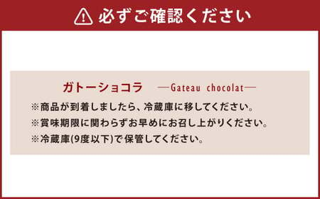 まるで生チョコ！？ 私のガトーショコラ 2本セット ガトーショコラ ケーキ チョコケーキ チョコ お菓子 洋菓子 約360g×2本 スイーツ 小麦粉不使用 グルテンフリー 冷蔵 熊本県 上天草市