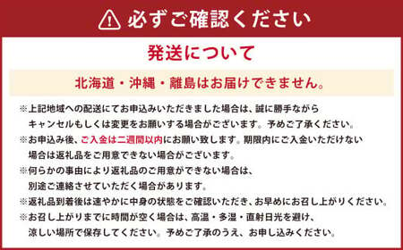 【指定日必須】天草産 活車海老 500g【発送期間2024年11月25日から2025年4月30日】