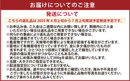 【先行受付】特別栽培河内晩柑 9kg サイズミックス 特別栽培 河内晩柑 柑橘 晩柑 ばんかん バンカン フルーツ 果物 果実 九州産 熊本県産【2025年4月上旬から7月上旬発送予定】