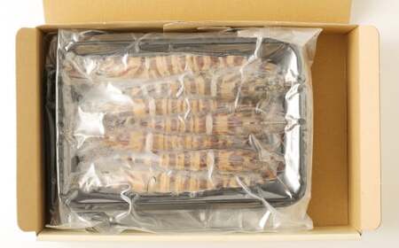 「極」 原点の車海老 「急速冷凍」 500g (12~14尾) 特大サイズ【2025年11月下旬より順次発送予定】