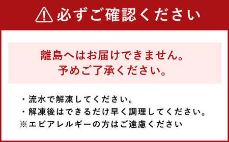 「極」 原点の車海老 「急速冷凍」 500g (12~14尾) 特大サイズ【2025年11月下旬より順次発送予定】