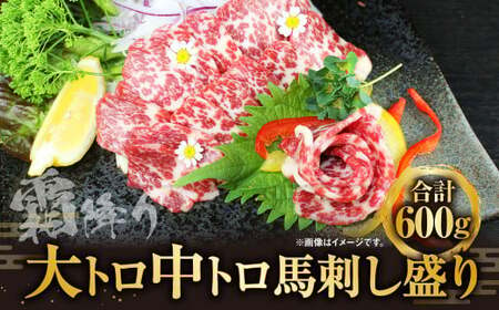 大トロ 中トロ 馬刺し盛り 600g お肉 肉 霜降り 食べ比べ 馬肉 醤油 生姜 300g×2