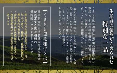 くまもと黒毛和牛 すきやき用 500g