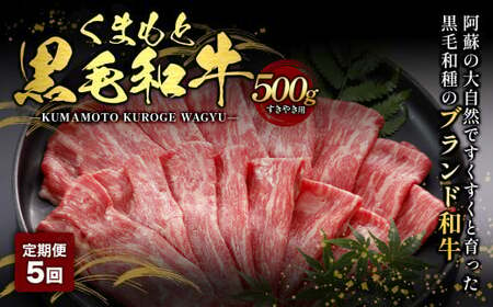 【定期便5回】くまもと黒毛和牛 すきやき用 500g