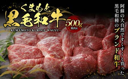 くまもと黒毛和牛 焼肉用 500g