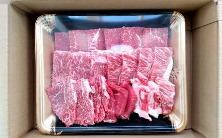 【3ヶ月定期便】肥後の赤牛焼肉用 500g