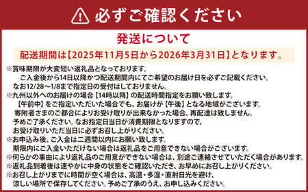 【配送指定日必須】天草産 活車海老 1000g(30~44尾入り)【発送期間2025年11月5日から2026年3月31日】活き海老 刺身 車エビ えび 活き車海老 車えび