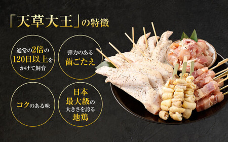 天草大王プレミアムバーベキューセット（小） 計6パック 天草大王 焼鳥 モモ ムネ 皮 手羽先 串