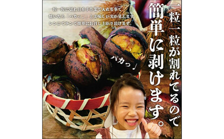 無添加和栗専門店 美むらの和栗 焼き栗 500g 冷凍焼栗 栗 和栗 秋 マロン 冷凍 無添加 砂糖不使用 蒸し焼き 保存料不使用