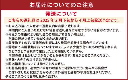 【先行受付】特別栽培パール柑（天草文旦） 7kg サイズミックス パール柑 天草文旦 柑橘 果物 フルーツ 熊本県産【2025年2月下旬から4月上旬発送開始】