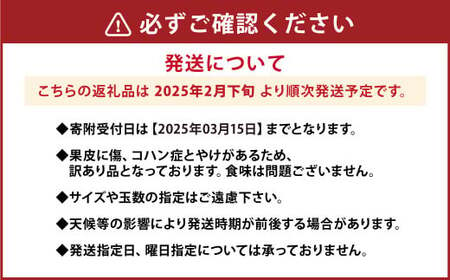 【先行受付】【数量限定】【訳あり】パール柑 約6kg 11玉前後 訳あり 訳アリ 柑橘 フルーツ 果物 果実 くだもの 九州産 熊本県 上天草市【2024年2月下旬から3月下旬順次発送】