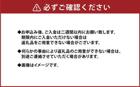 【先行受付】【数量限定】【訳あり】パール柑 約6kg 11玉前後 訳あり 訳アリ 柑橘 フルーツ 果物 果実 くだもの 九州産 熊本県 上天草市【2024年2月下旬から3月下旬順次発送】