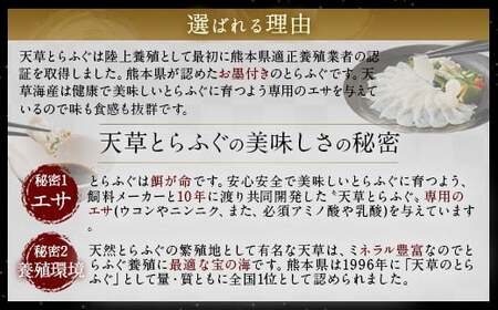 【数量限定】【ミシュラン星付きのプロが愛用】1日25セット限定！ ふぐの王様！ とらふぐ 国産 最高級！ 天草 とらふぐ てっさ ・ てっちり 1人前 河豚 フグ ふぐ鍋 てっちりセット 刺身 刺し身 冷凍 ふぐ刺し