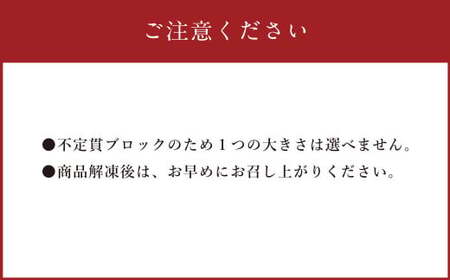 【フジチク ふじ馬刺し】馬刺し 上赤身（800g） 馬肉 馬刺 赤身 タレ付き 肉 お肉 冷凍 熊本県 上天草市