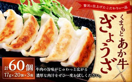 熊本和牛あか牛ぎょうざ60個(あか牛ぎょうざ20個入り×3箱)計60個 あか牛 餃子 ぎょうざ 焼餃子 牛肉 お肉 肉 褐牛 褐毛和種 和牛 国産牛 熊本県 上天草市 冷凍