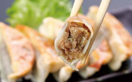 熊本和牛あか牛ぎょうざ60個(あか牛ぎょうざ20個入り×3箱)計60個 あか牛 餃子 ぎょうざ 焼餃子 牛肉 お肉 肉 褐牛 褐毛和種 和牛 国産牛 熊本県 上天草市 冷凍