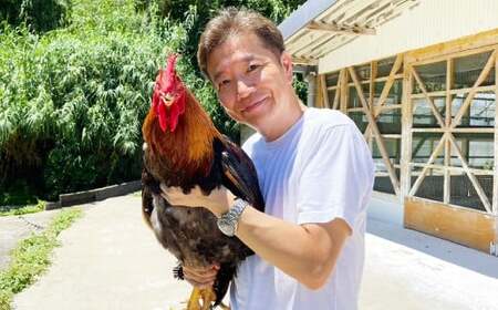 上田アニのクリームシチュー5箱セット	250g×5箱 合計1.25kg シチュー クリームシチュー 天草大王 鶏肉 常温 熊本県 上天草市