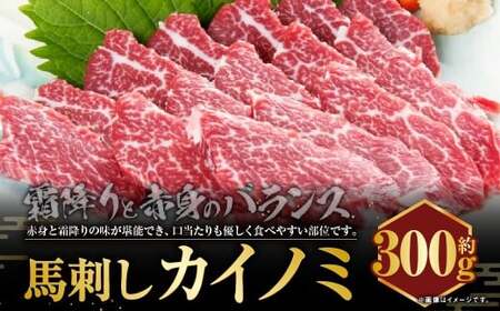 C33P 馬刺し 貝の身（カイノミ）約300g 貝の身 馬肉 馬刺し 赤身 肉 お肉 醤油 タレ付き 生姜付き 冷凍 熊本県 上天草市