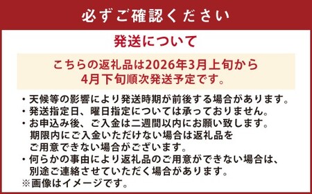 【先行受付】【数量限定】あまくさ晩柑 約9kg 晩柑 柑橘 フルーツ 果物 熊本県 上天草市【2026年3月上旬から4月下旬順次発送】