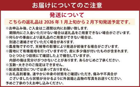 【先行受付】特別栽培ポンカン 10kg サイズミックス 柑橘 ポンカン ぽんかん フルーツ 果物 果実 九州産 熊本県 上天草市【2026年1月上旬から2月下旬発送予定】