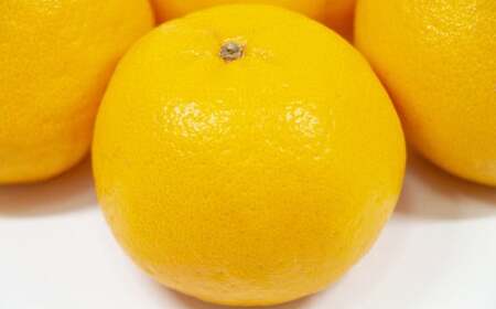 【先行受付】特別栽培ポンカン 10kg サイズミックス 柑橘 ポンカン ぽんかん フルーツ 果物 果実 九州産 熊本県 上天草市【2026年1月上旬から2月下旬発送予定】