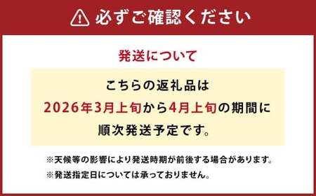 【先行受付】特別栽培不知火 5kg サイズミックス  特別栽培 不知火 柑橘 デコポン でこぽん フルーツ 果物 果実 九州産 熊本県産【2026年3月上旬から4月上旬発送予定】