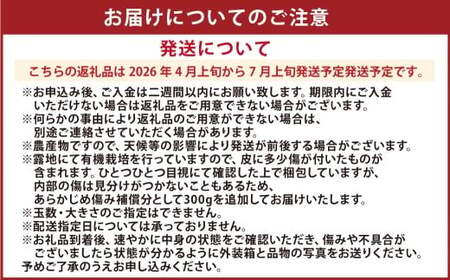 【先行受付】特別栽培河内晩柑 7kg サイズミックス 河内晩柑 晩柑 ばんかん 柑橘 みかん 果物 フルーツ【2026年4月上旬から7月上旬発送開始】