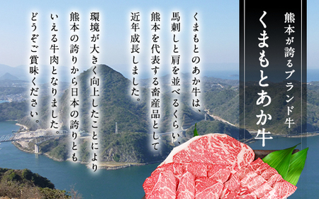 熊本県産赤牛 ハンバーグ 1.5kg (150ｇ×10個)