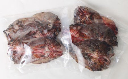 カサゴ からあげ用 10匹(5匹×2パック) ガラカブ