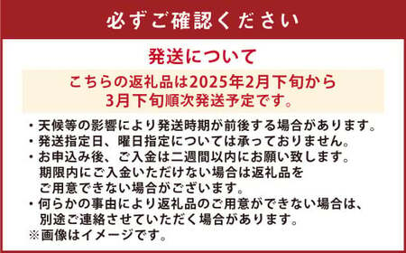 【先行受付】【数量限定】不知火 約5kg【2025年2月下旬から3月下旬順次発送】