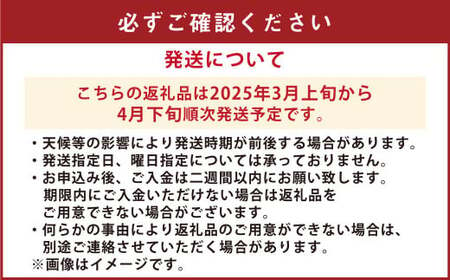 【先行受付】【数量限定】あまくさ晩柑 約9kg【2025年3月上旬から4月下旬順次発送】