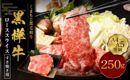 くまもと黒毛和牛 黒樺牛 A4~A5等級 ローススライス すき焼き用 250g 国産 九州 熊本県産 冷凍 11,550円