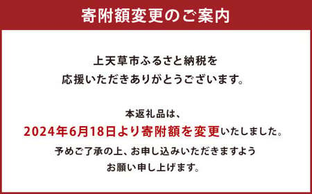 上天草産 あこや 真珠 ネックレス （8.0ｍｍ珠） パール プレゼント