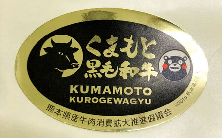 【3ヶ月定期便】 A5ランク くまもと 黒毛和牛 焼肉用 牛肉 牛 400g×3回 1.2kg 熊本県 上天草市