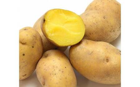 十勝・中札内村のほくほくじゃがいも 4種セット 約10kg 【2025年12月上旬より順次発送予定】  [033-0014]