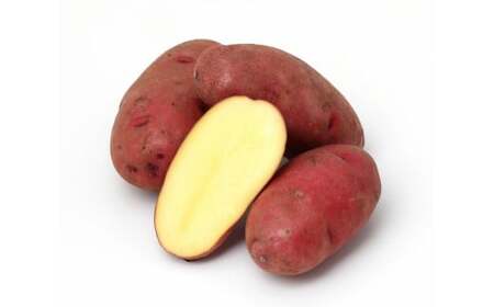 十勝・中札内村のほくほくじゃがいも 4種セット 約10kg 【2025年12月上旬より順次発送予定】  [033-0014]