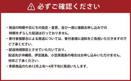 芳醇な香りと上質な風味を探求！北海道 十勝 中札内村 鎌田農園の至高にんにく 特大玉 （2Lサイズ） 4個入り にんにく ニンニク 大蒜 [020-0023]