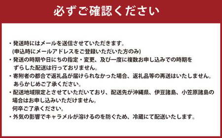 花畑牧場 生キャラメル プレーン（常温） 64g×6セット キャラメル お菓子 おやつ [002-0089]