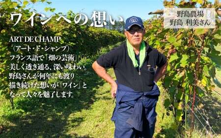 《70本数量限定》札内川ダム 熟成 赤ワイン 中札内村産 ぶどう アート・ド・シャンプ 【2026年6月上旬発送】 ワイン 赤 お酒 おさけ 酒 ギフト [006-0109]