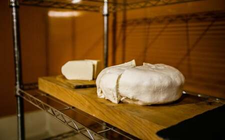 ハーフホールチーズ 約900g×1個 ／ チーズ ハーフホール 熟成 素朴 おつまみ お酒のお供 おやつ 料理 生乳 乳製品 加工食品 [041-0108]