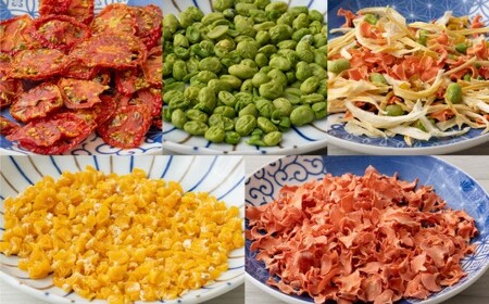 毎日ごはんに野菜プラス！北海道 ドライベジタブル（洋風） 5種×各2袋 計10袋 乾燥野菜 ドライフード 野菜 [039-0094]