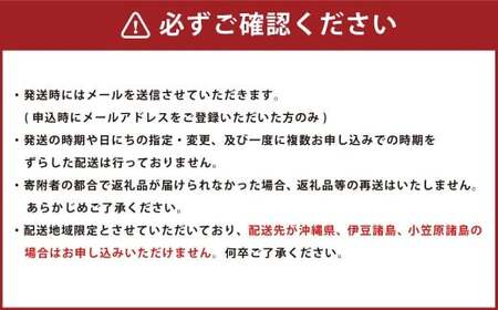 【3回定期便】カマンベールプレーン ～ミニタイプ～ 10個入り×3セット 合計90個 3回 カマンベール カマンベールチーズ チーズ 手造り 個包装 花畑牧場 定期便 北海道 中札内村 冷蔵 [002-0081]