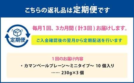【3回定期便】カマンベールプレーン ～ミニタイプ～ 10個入り×3セット 合計90個 3回 カマンベール カマンベールチーズ チーズ 手造り 個包装 花畑牧場 定期便 北海道 中札内村 冷蔵 [002-0081]