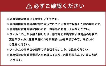 リコッタ ～ミニタイプ～ 90g×8袋 花畑牧場 リコッタチーズ チーズ ミニ ホエイ クリーミー 乳製品 生乳 冷蔵 [002-0207]
